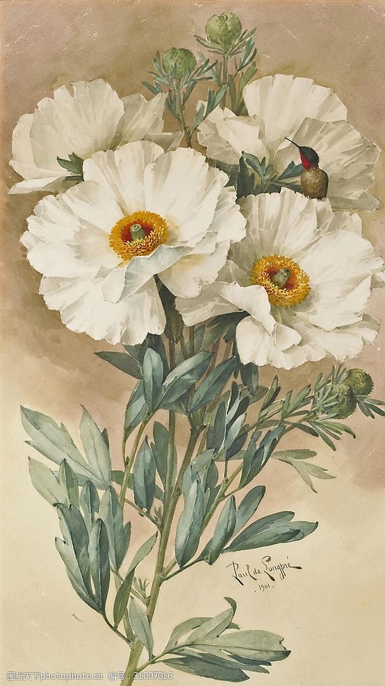 古典花油画图片免费下载 古典花油画素材 古典花油画模板 图行天下素材网