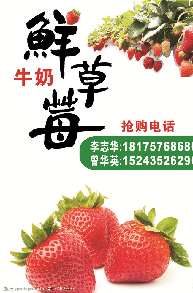 牛奶设计草莓广告