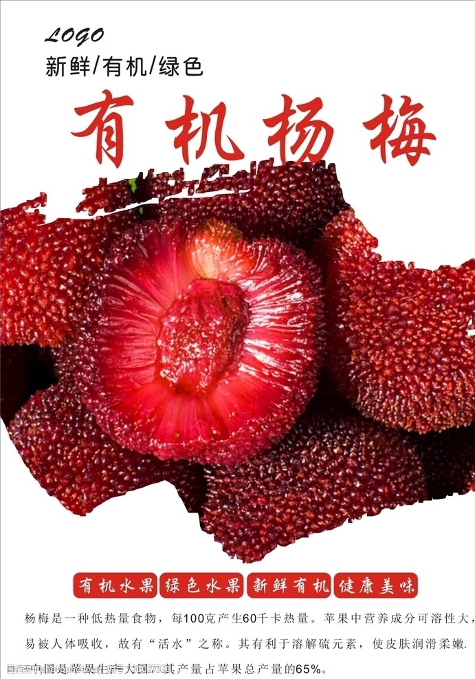 蜜饯标签设计杨梅海报