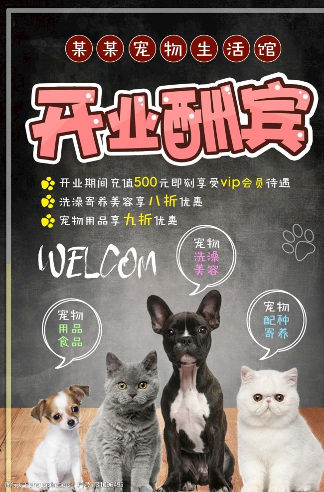 宠物店食品宠物店海报