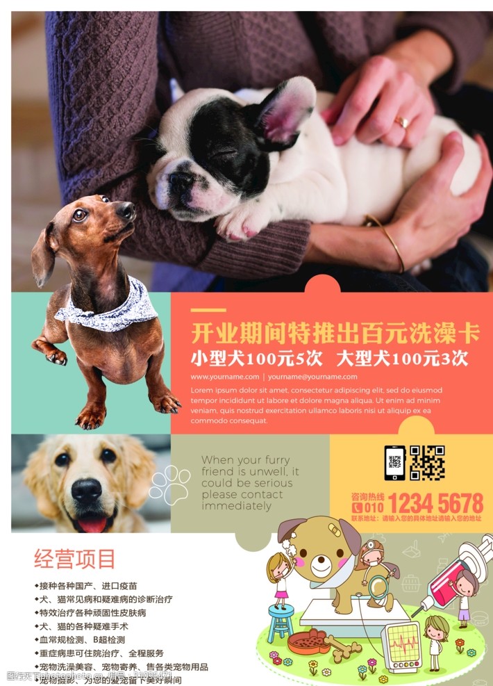 宠物食品宠物店海报