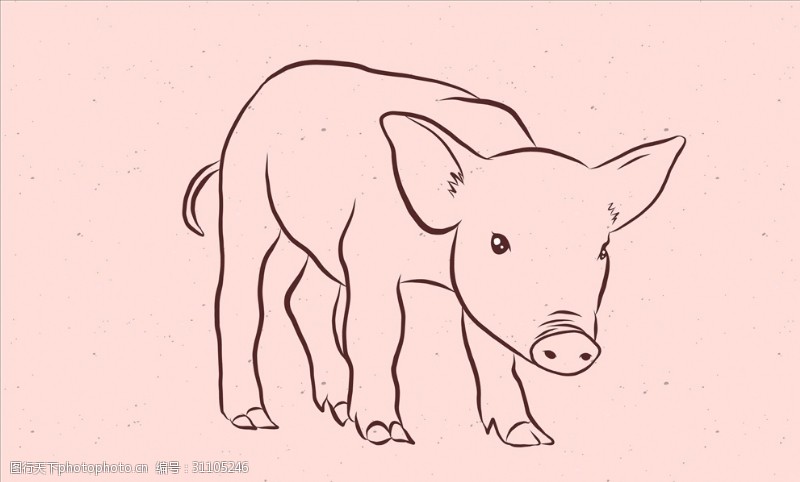 猪手矢量手绘猪