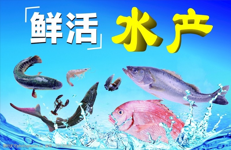 鱼火锅宣传单水产