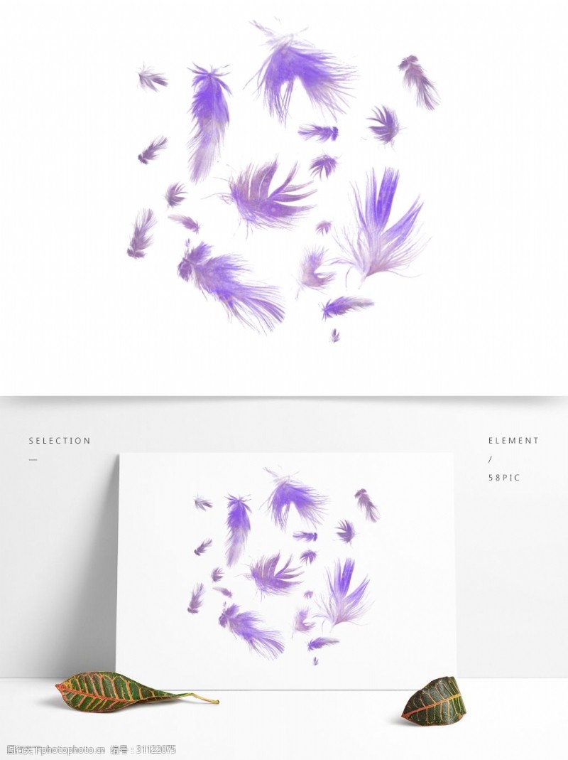 梦幻淡雅紫色渐变羽毛漂浮设计元素背景底纹