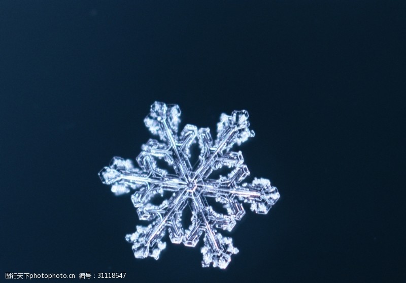 雪花结晶图片免费下载 雪花结晶素材 雪花结晶模板 图行天下素材网