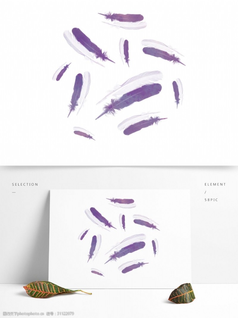 紫色梦幻渐变羽毛漂浮设计元素背景底纹