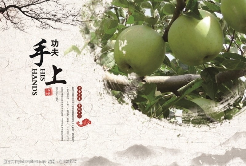 富士康红富士苹果宣传册