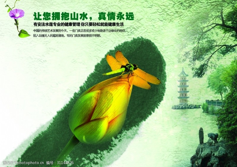 杭州西湖画册绿色环保