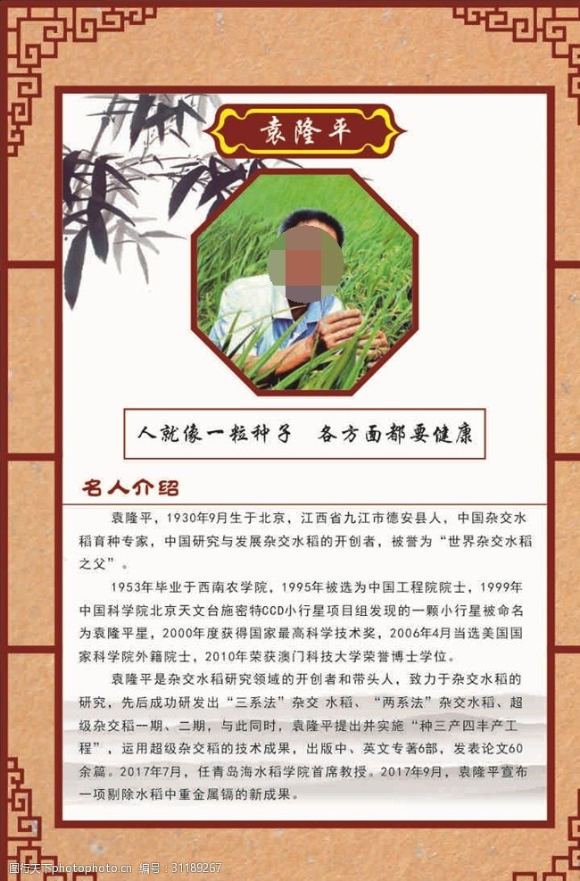 学校展板挂图名人名言介绍43袁隆平