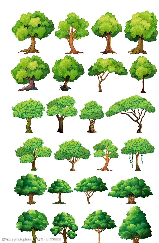 多肉植物图片树木