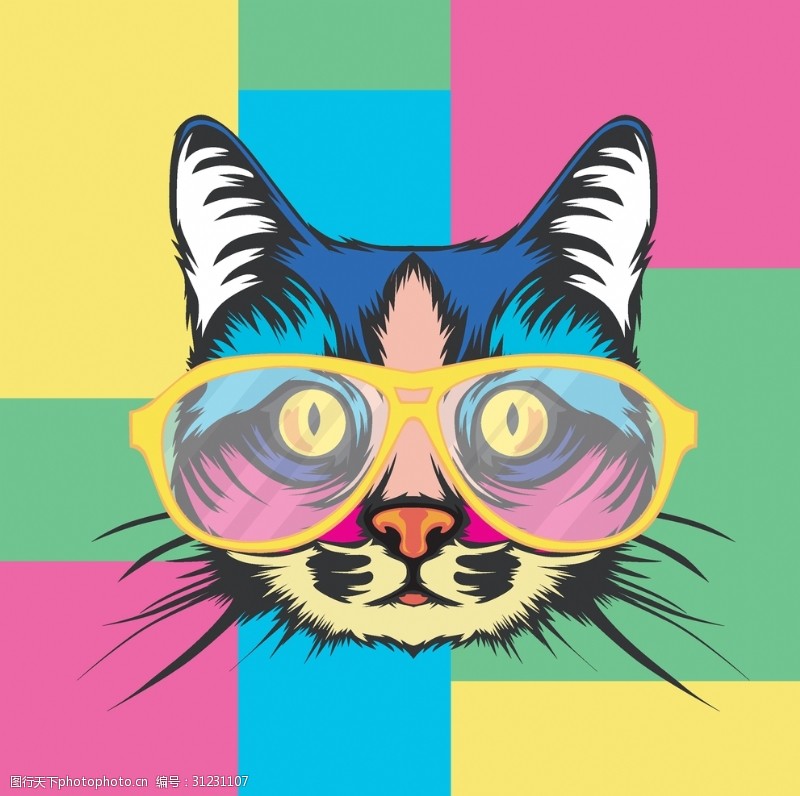 呵叻猫时尚眼镜猫