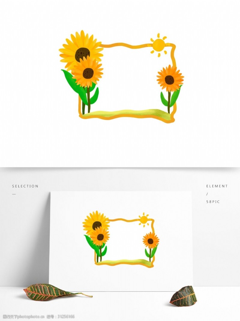 手绘植物边框向日葵边框