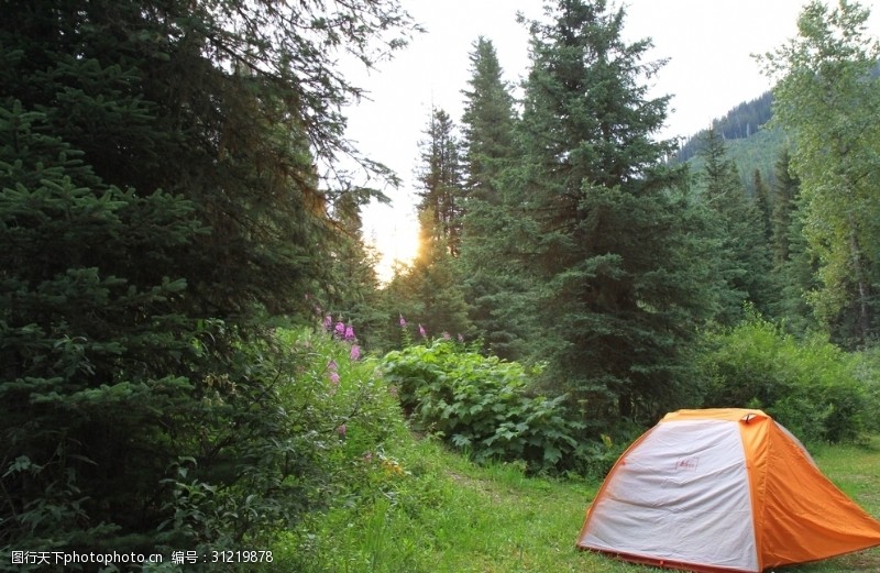野外露营帐篷