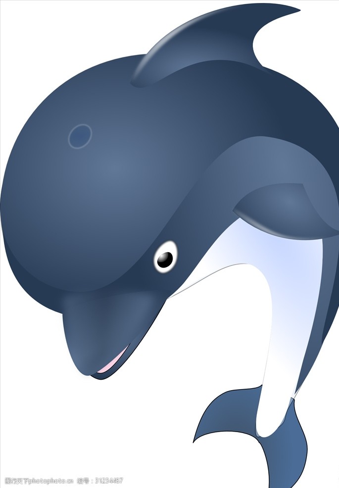 哺乳动物海豚矢量素材