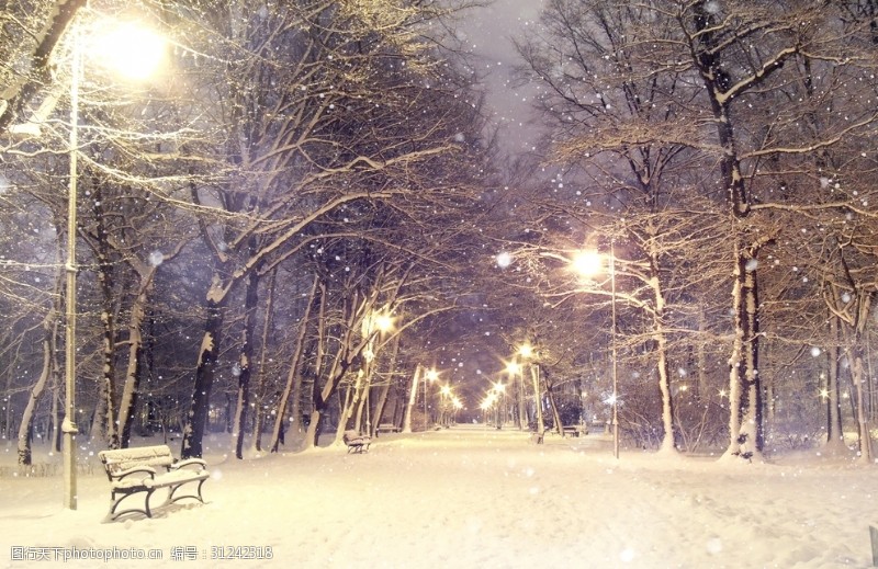 冬装夜晚雪景