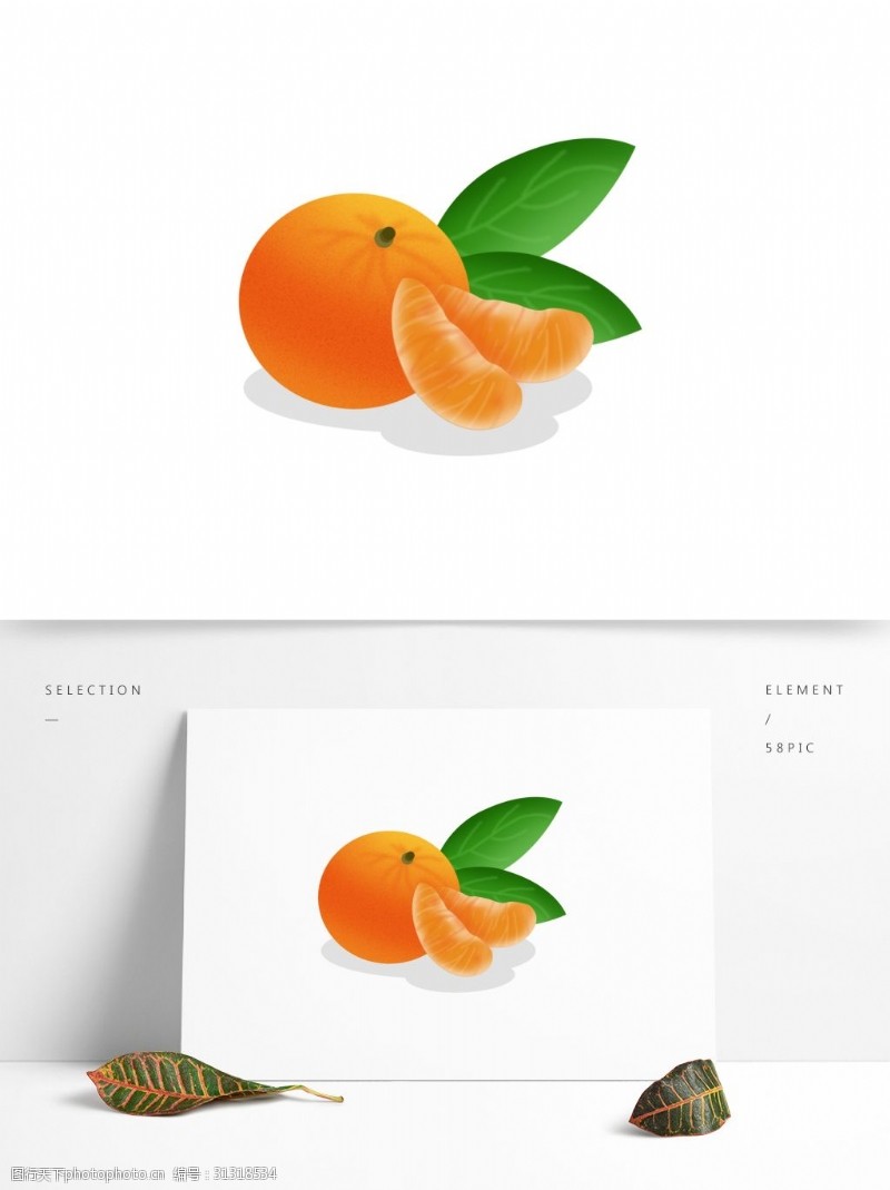 卡通手绘水果橘子素材可商用