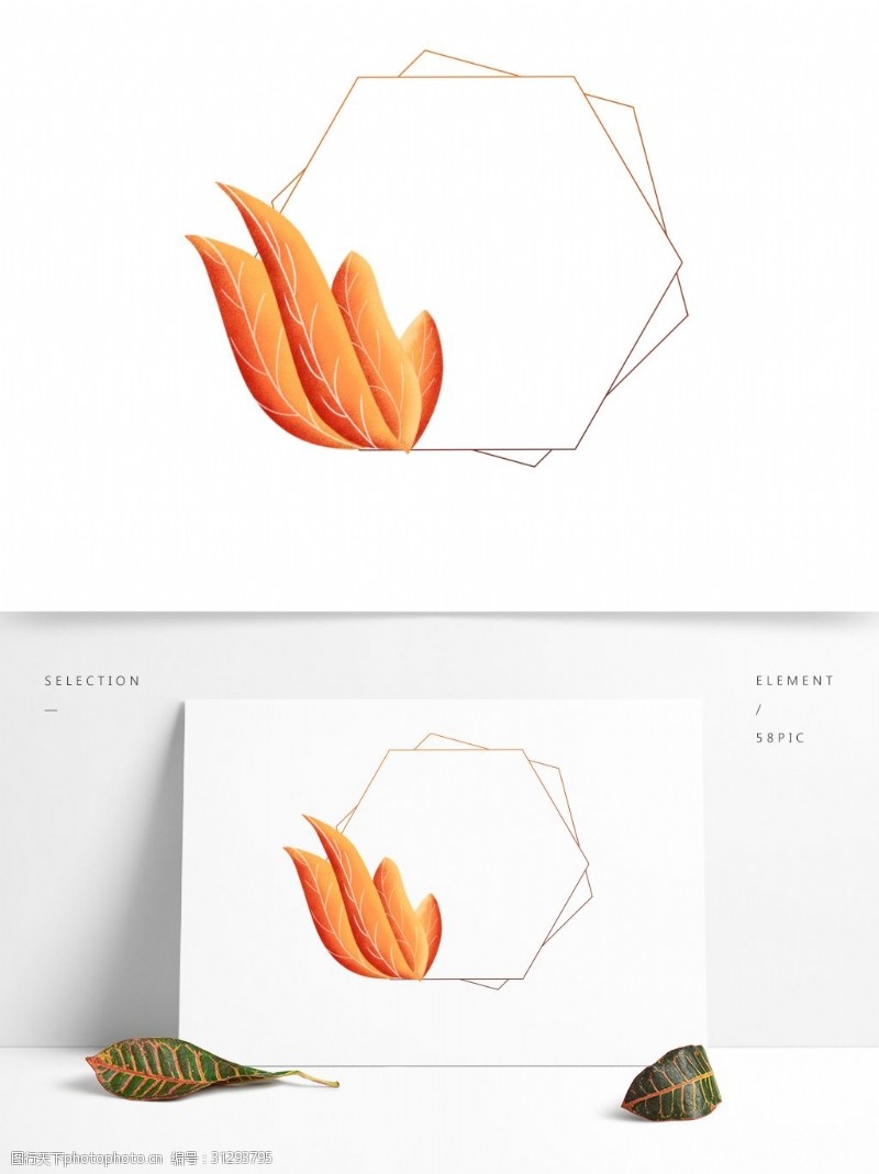 橘子手绘珊瑚橘配色植物叶子边框元素