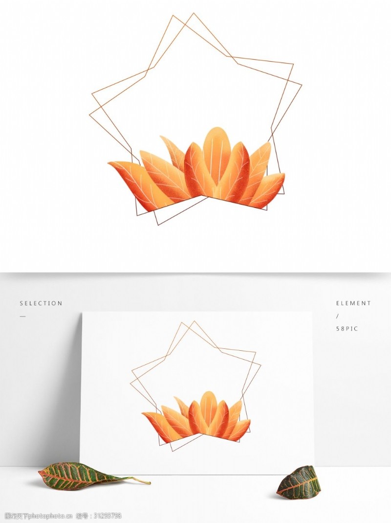 橘子手绘珊瑚橘配色植物叶子边框元素