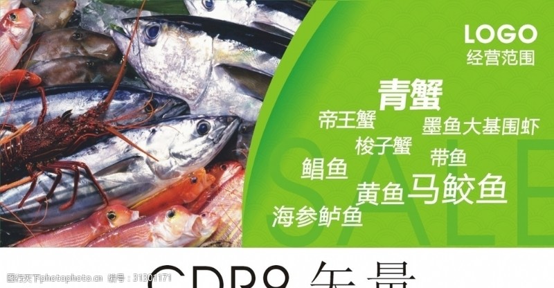 cdr9海鲜海报展板