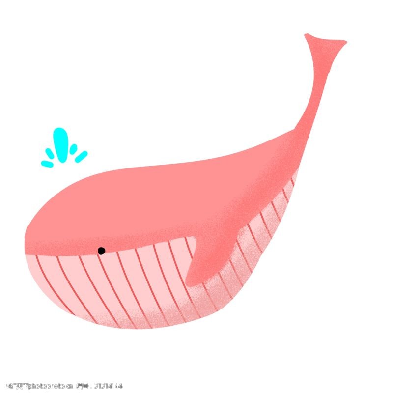 橘子橘粉色可爱的鲸鱼插画