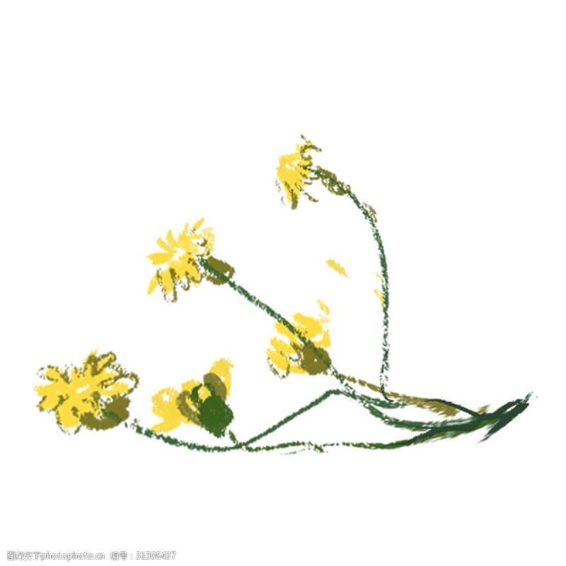 东南手绘卡通黄色的菊花免抠图