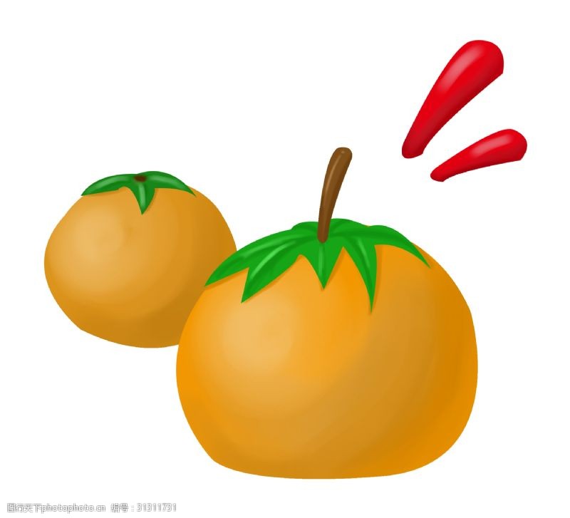 橘子手绘新鲜橙子插画