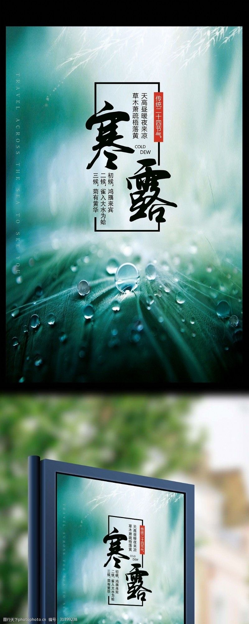 小满2017大气简洁中国风寒露节气海报