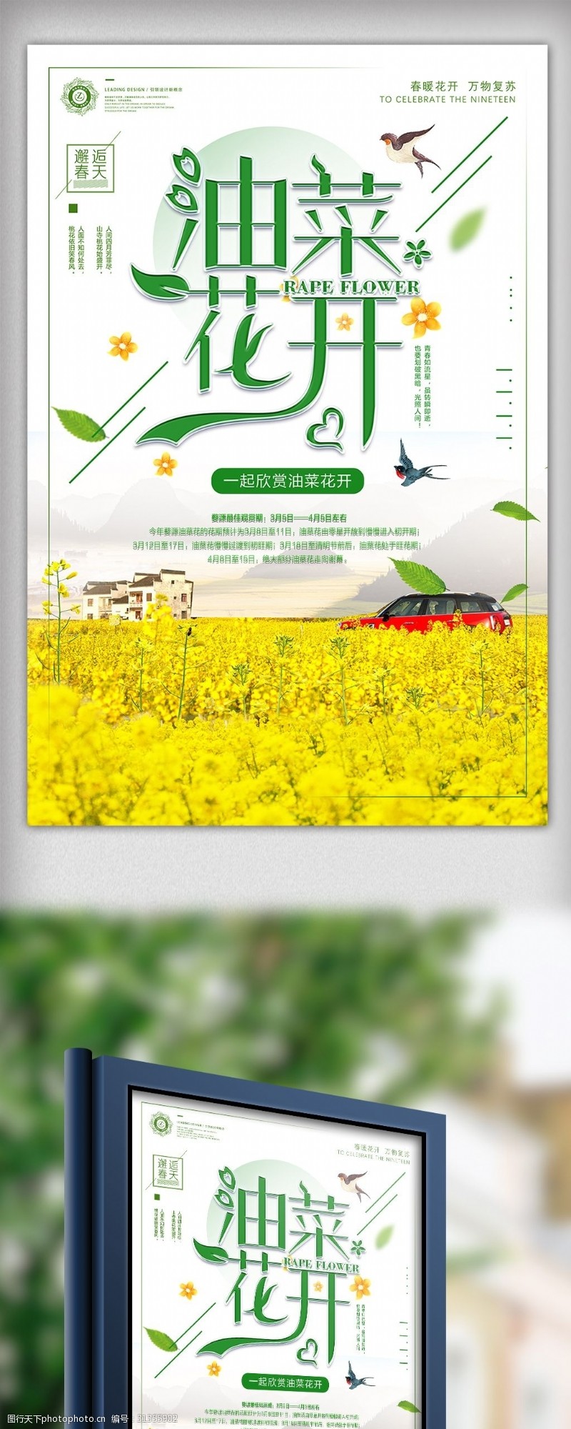 最新2018绿色婺源旅游最美油菜花海报