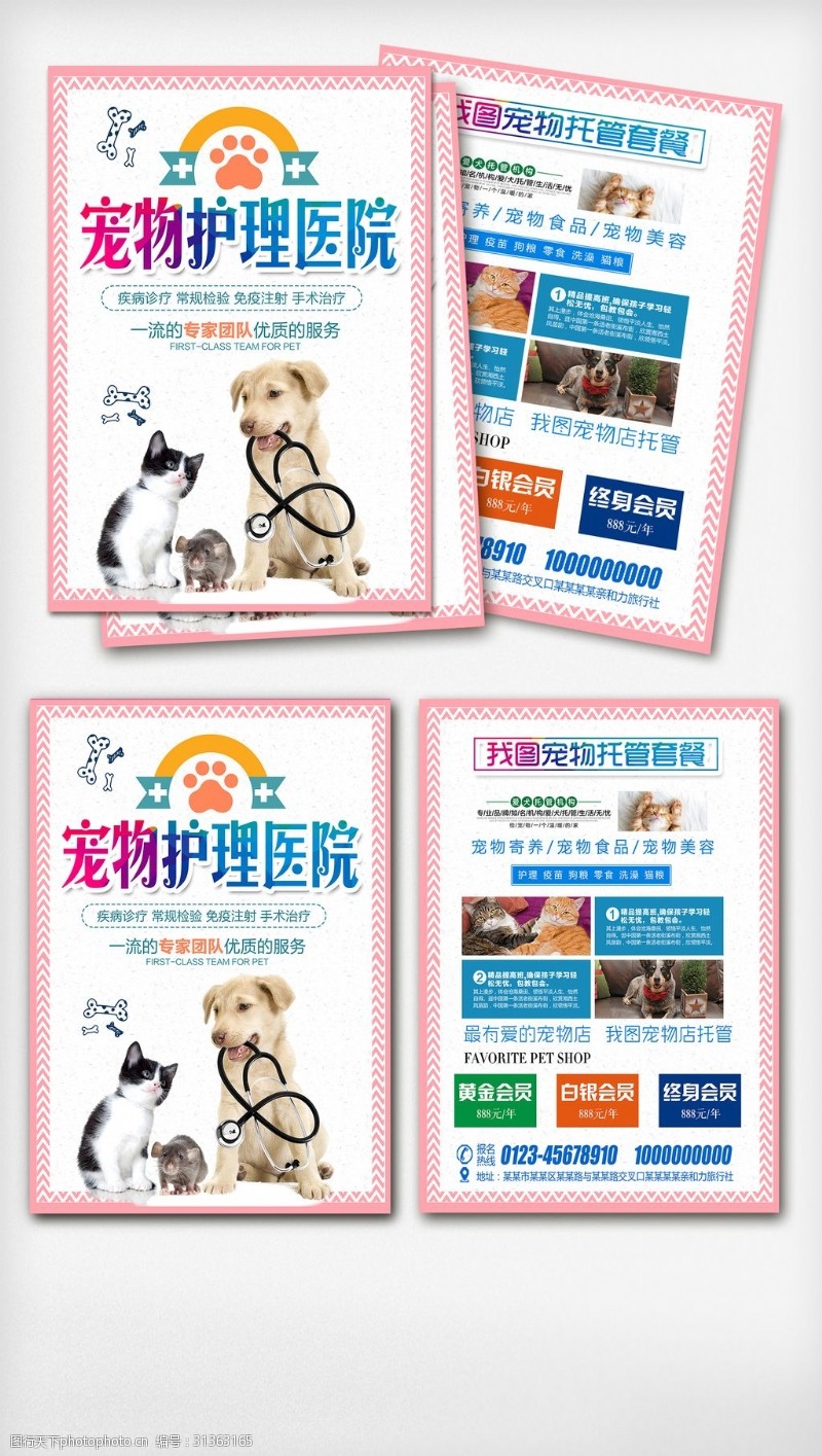 宠物商店宠物医院护理宣传单彩页设计