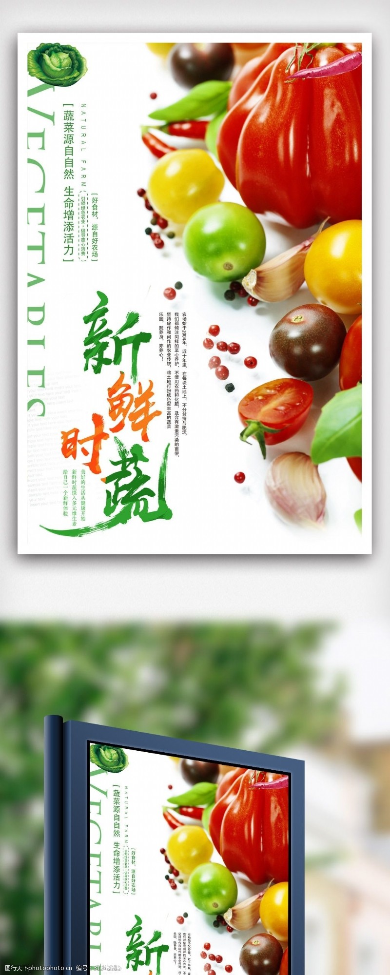 超市版面创意蔬菜促销海报.psd