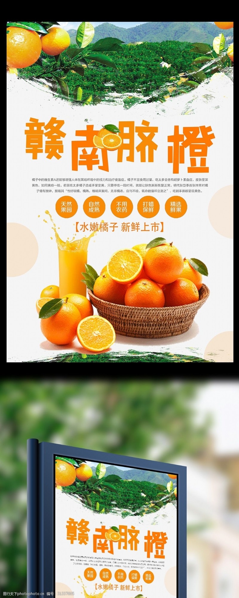 橘子赣南脐橙水果海报设计