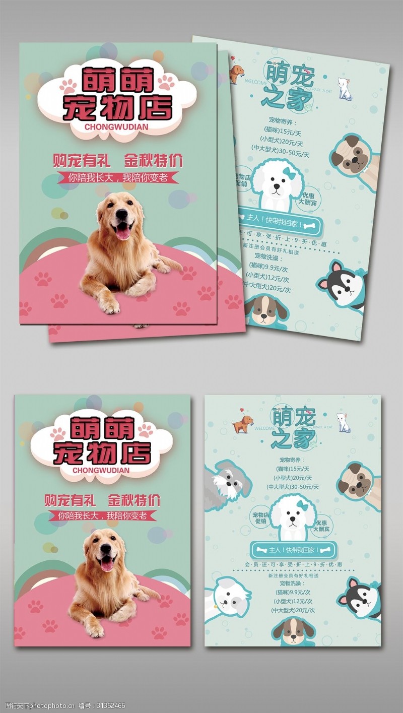 宠物店dm单可爱宠物店单页宠物店彩页DM设计