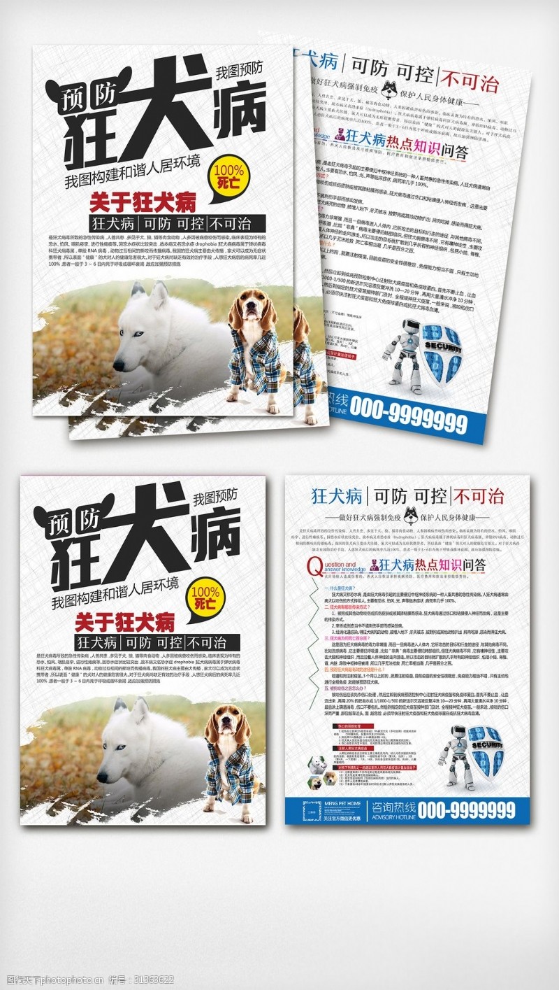 宠物店dm单狂犬病宣传单彩页DM设计