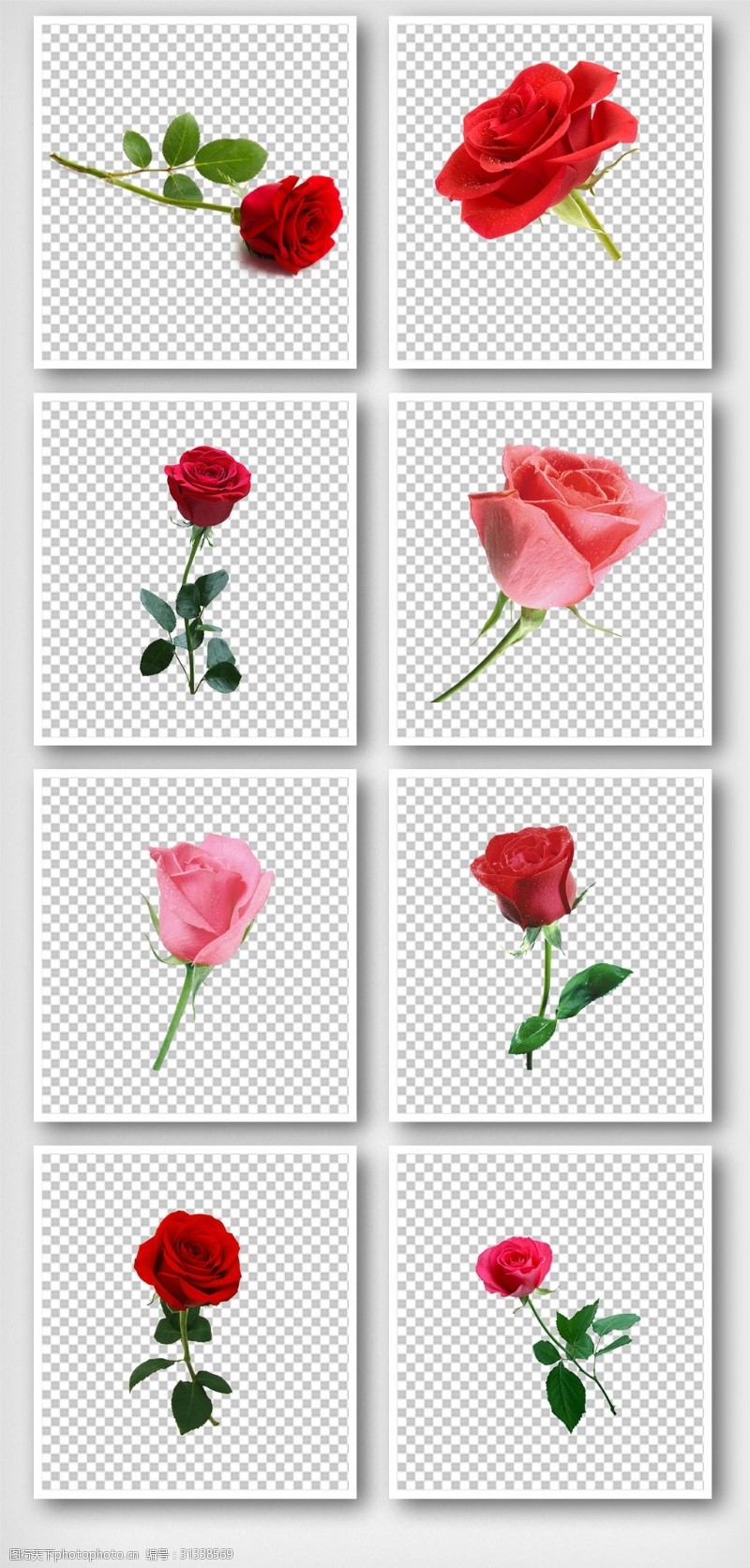 情人节玫瑰花装饰元素素材