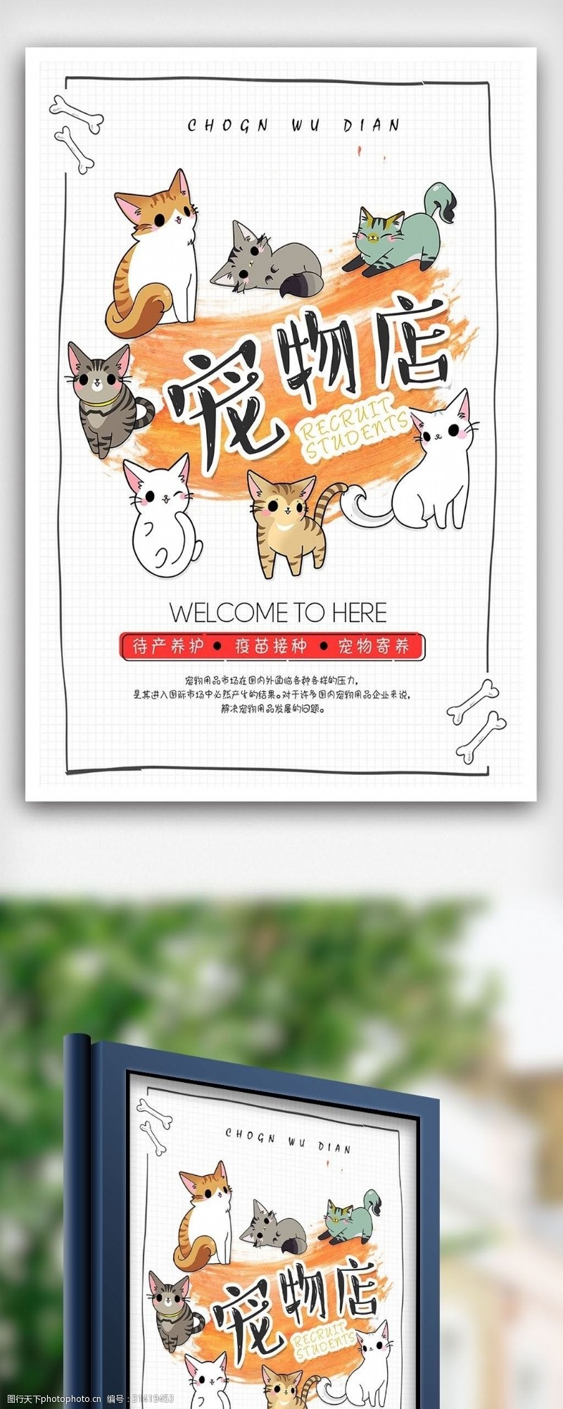 宠物领养时尚宠物店铺创意海报