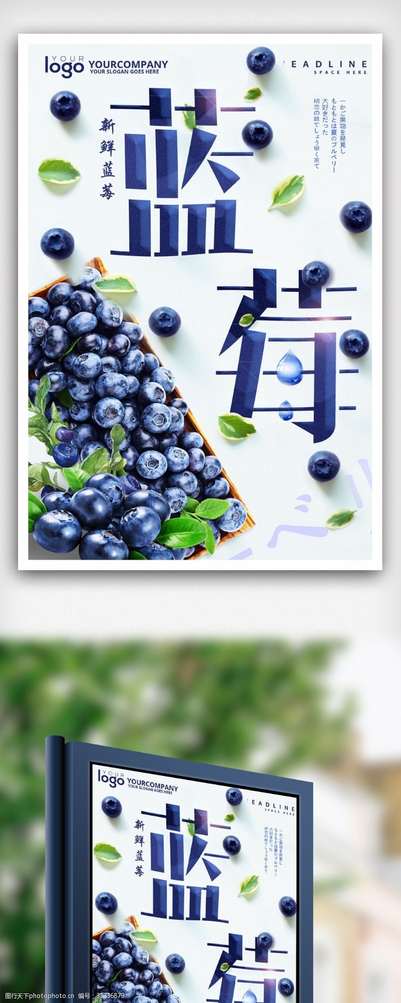 天然免费下载天然蓝莓创意海报.psd