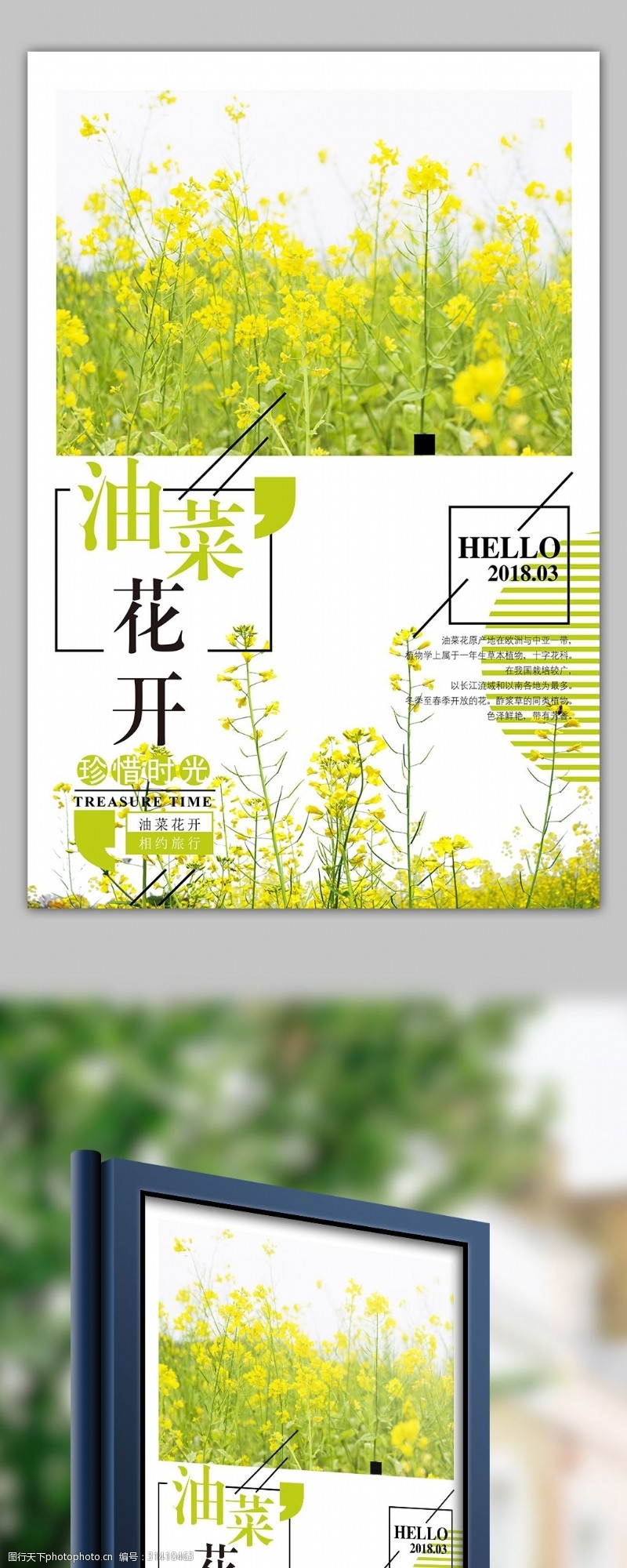 旅游宣传海报文艺小清新油菜花节海报模板