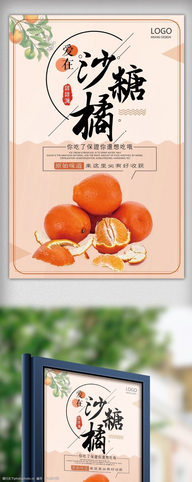 小青柑小清新水果砂糖橘海报设计
