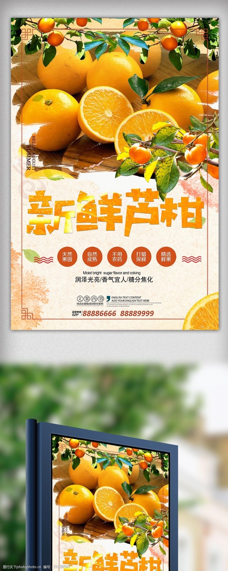 桔子新鲜水果芦柑海报设计