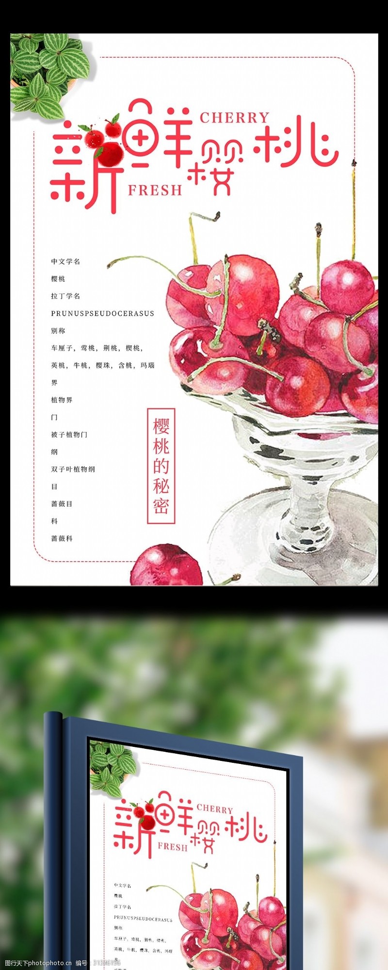 果汁店樱桃水果海报设计