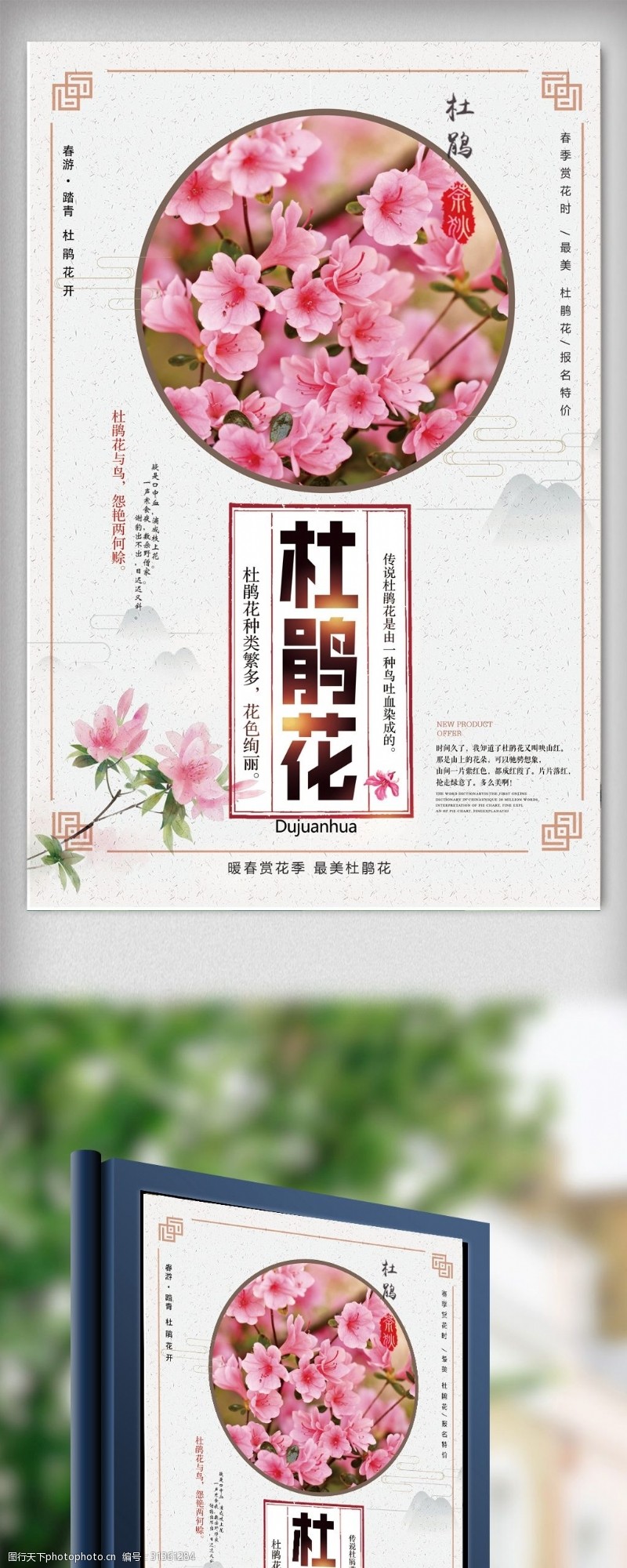 中国传统杜鹃花春季旅游宣传海报设计