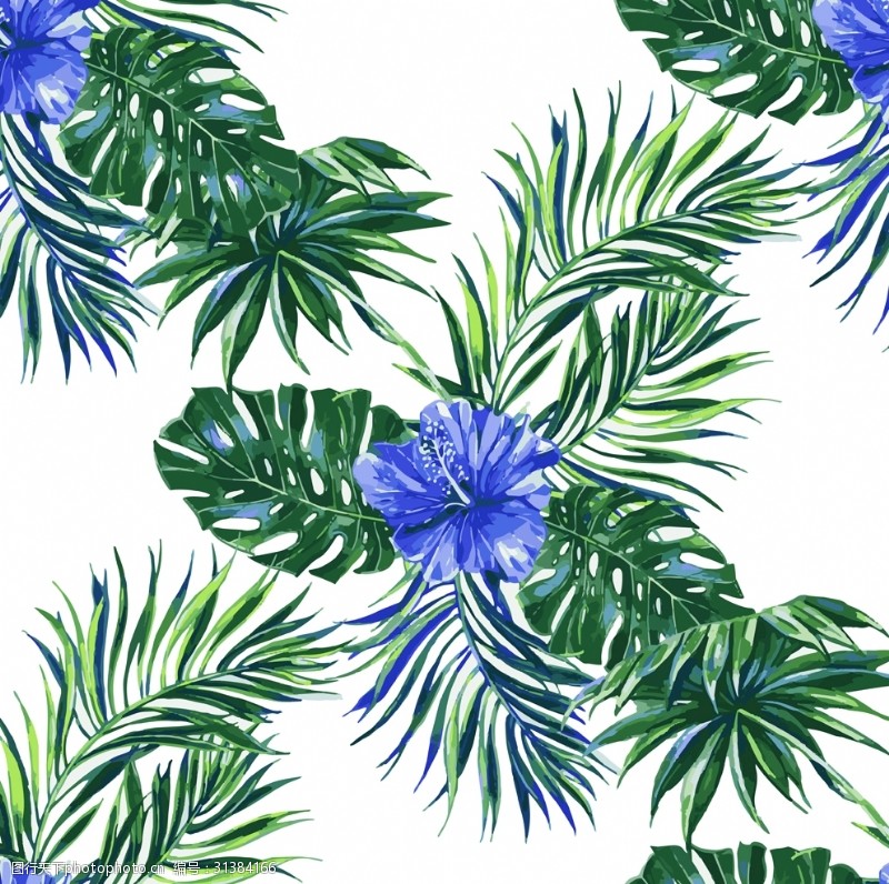 红棕榈热带叶子蓝色扶桑花