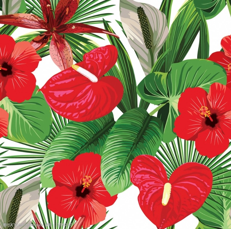 红棕榈热带植物花卉