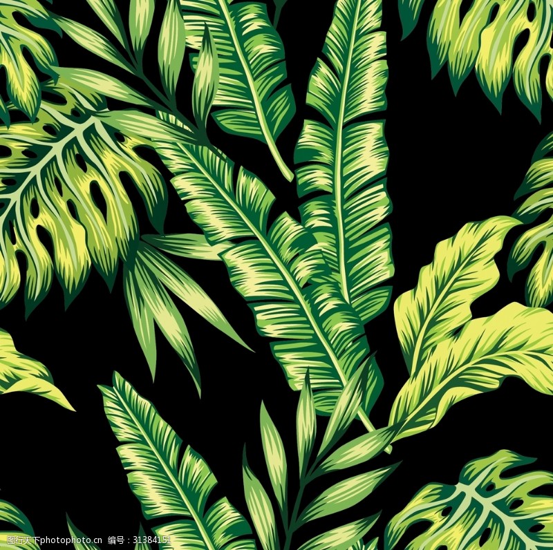红棕榈热带植物叶子壁纸