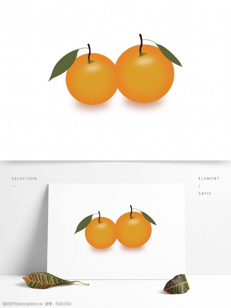 简单手绘橙子素材可商用