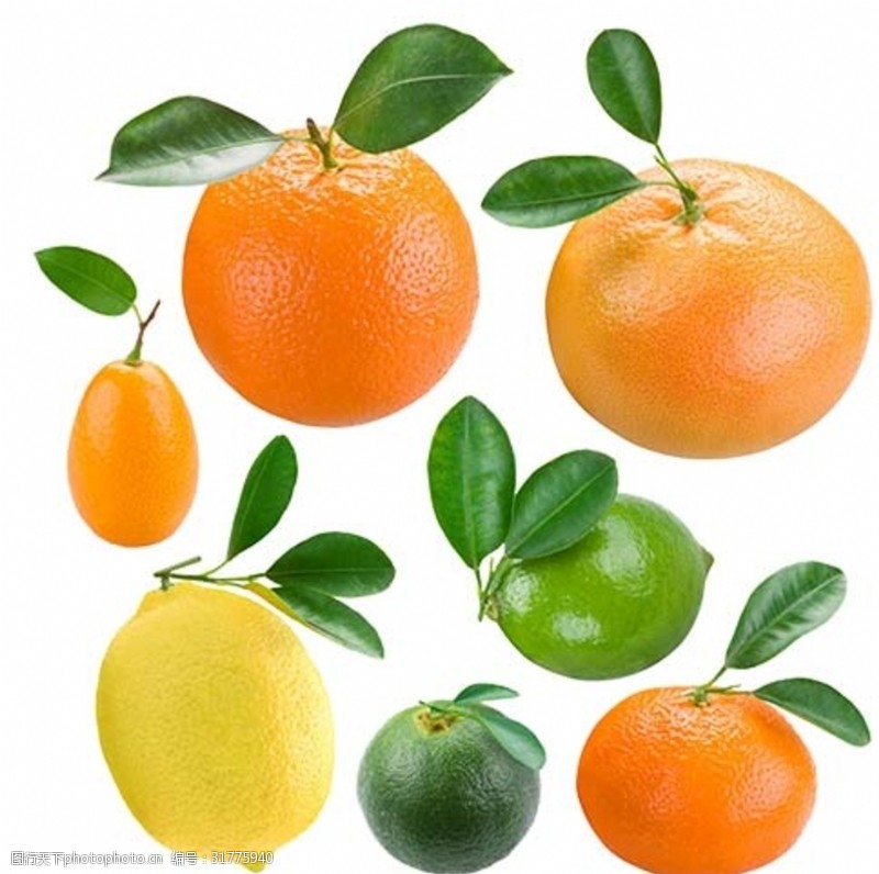 橙子水果透明素材