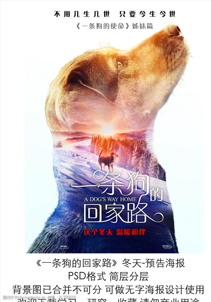 电影一条狗的回家路冬季预告海报