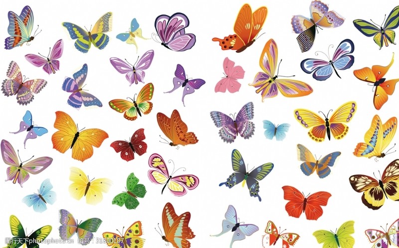 多种图案多款蝴蝶
