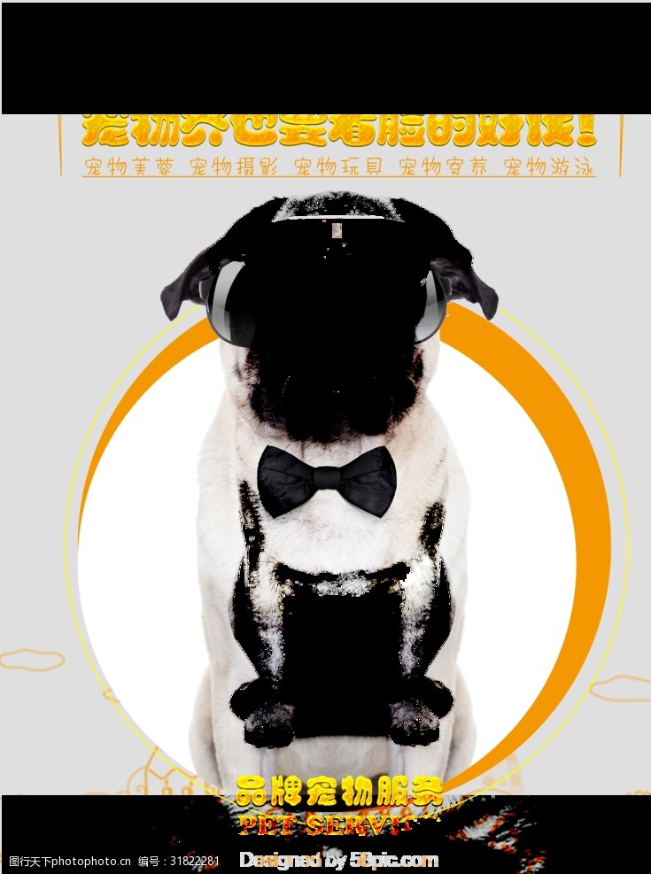 宠物领养宠物海报