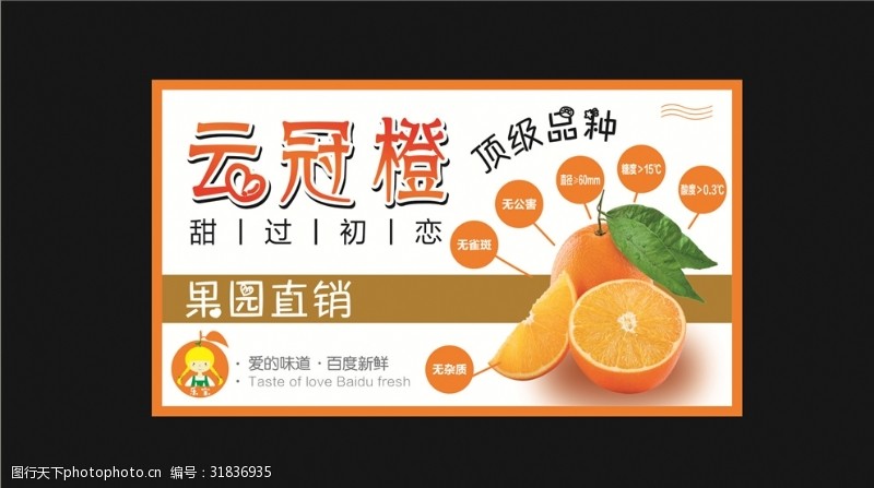 橙子冰糖橙贴纸海报